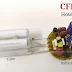 CFL Bulb Circuit Working Explanation