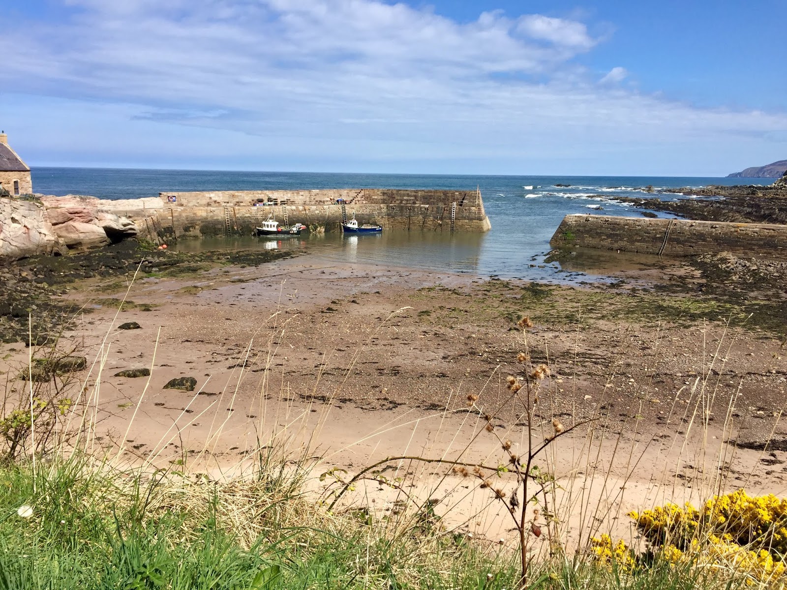 coastrider Isolation Cycle 31; Cove Harbour...