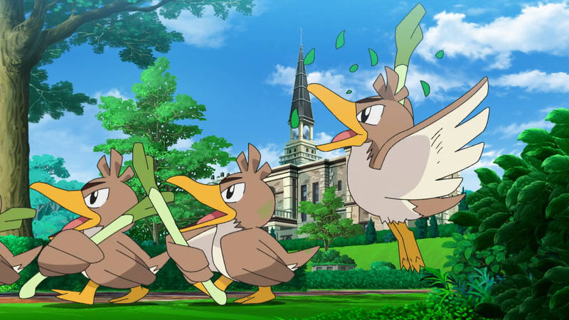 Curiosidades Pokémon: Farfetch'd e Sirfetch'd - Pokémothim