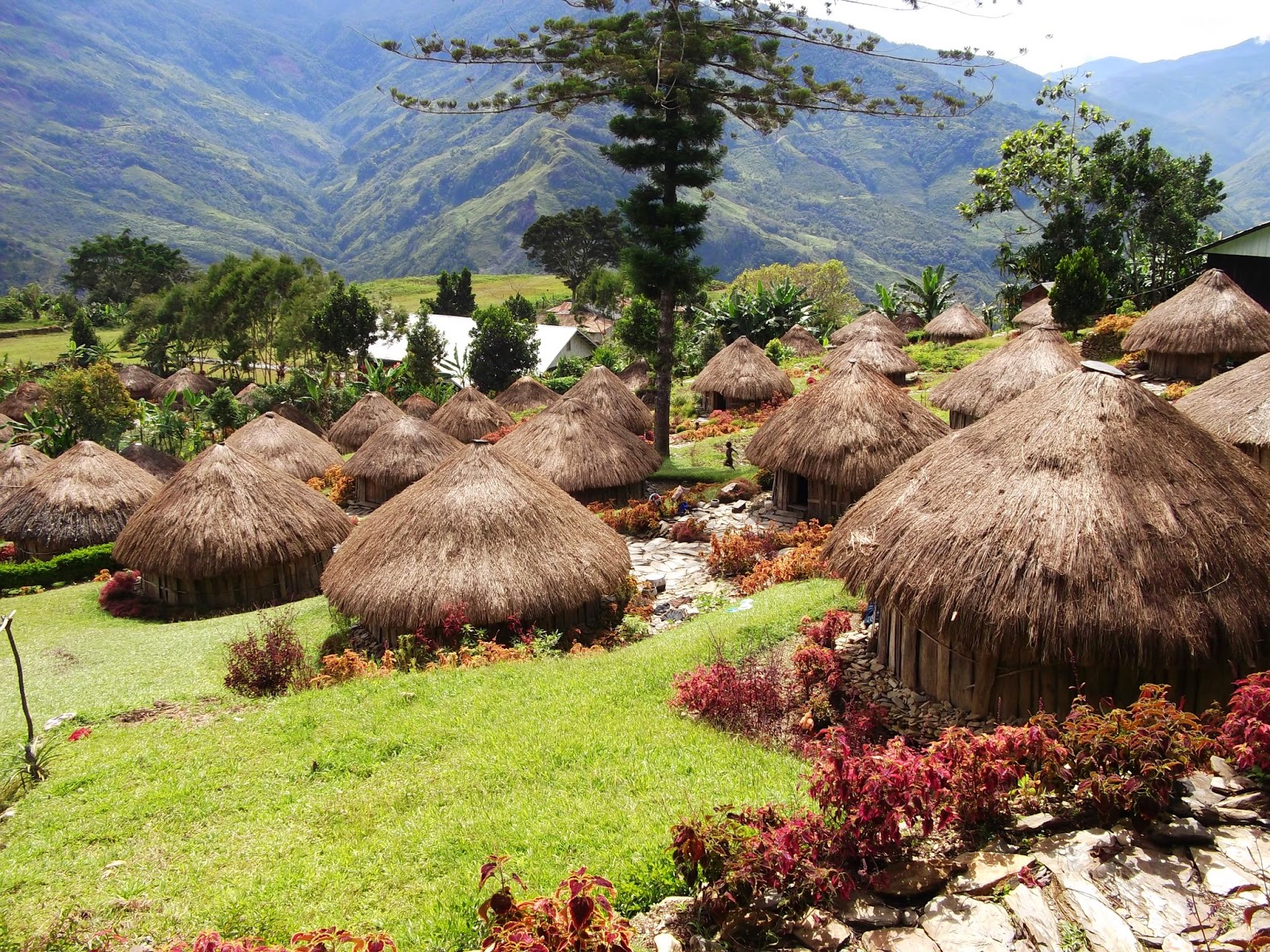 The beauty of Mamit, Papua