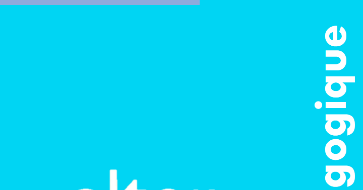 Dito Niveau B2 2015 - Cahier d exercices CD