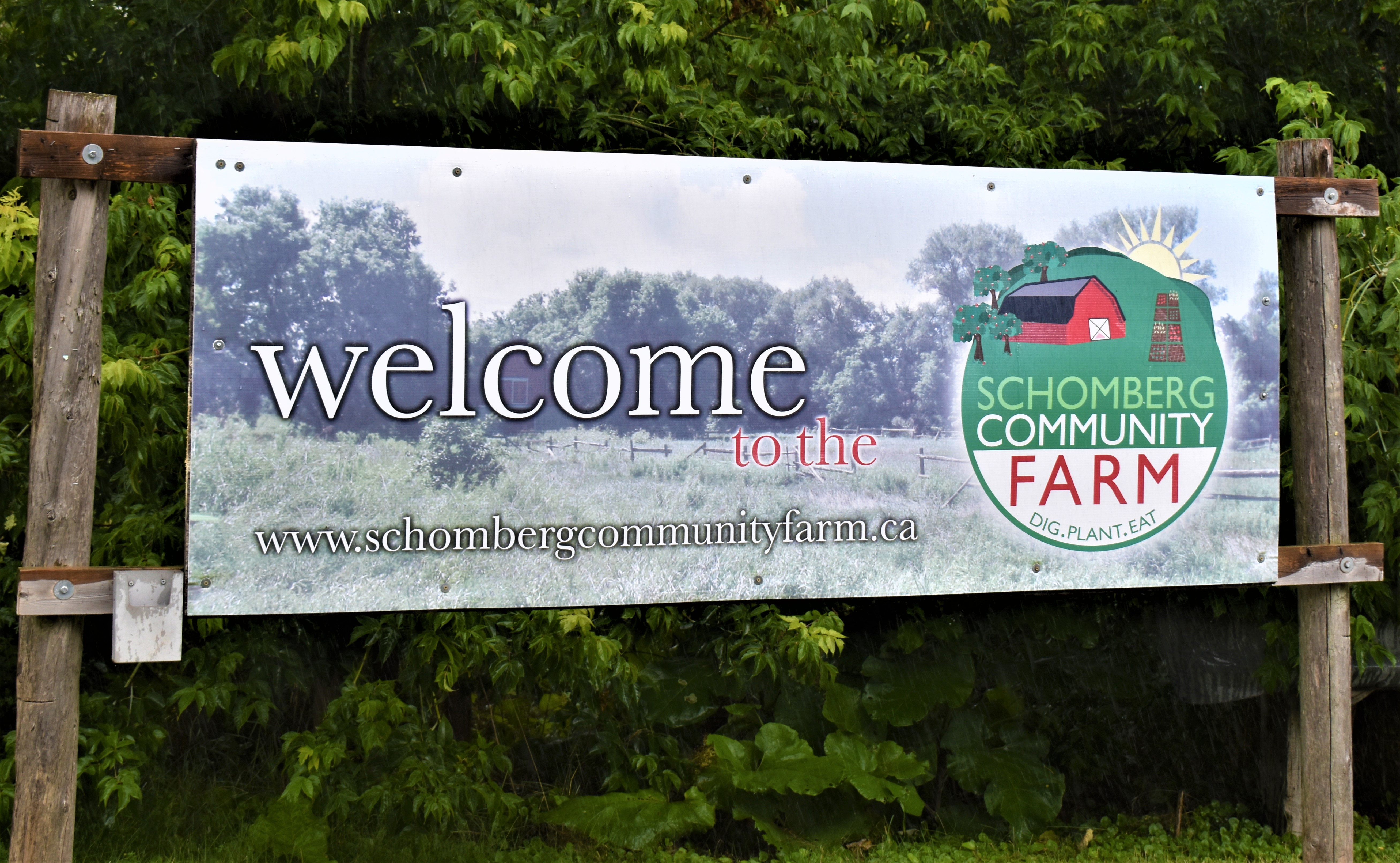 Camera on King & Aurora Summer 2020 Schomberg Community Farm