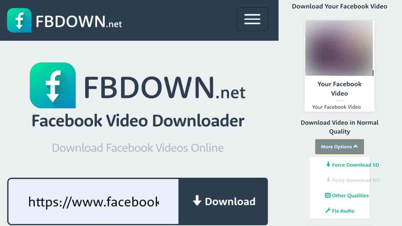 facebook video download ekjunoon usman plus
