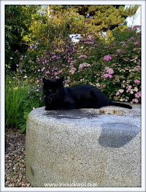 Parsley's Garden Selfie ©BionicBasil® The Sunday Selfies