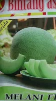 Melon Melani murah, perawatan mudah, rasa manis, daging keras, kulit bernet, Melani, Melon Melani, Melon Hijau, Melon Daging Hijau, Bintang Citra Asia,BCA, Benih, Bibit, Tanaman, Budidaya, Harga murah, Petani