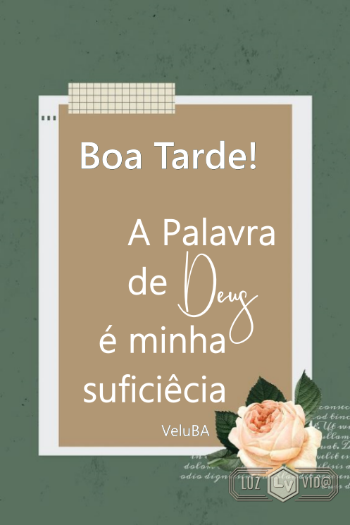 NOVO205%2B%2528MB%2529maryluz.png