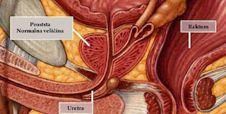 kronični prostatitis simptomi)