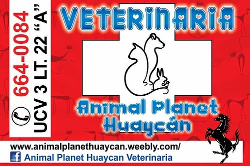 Veterinaria Huaycán