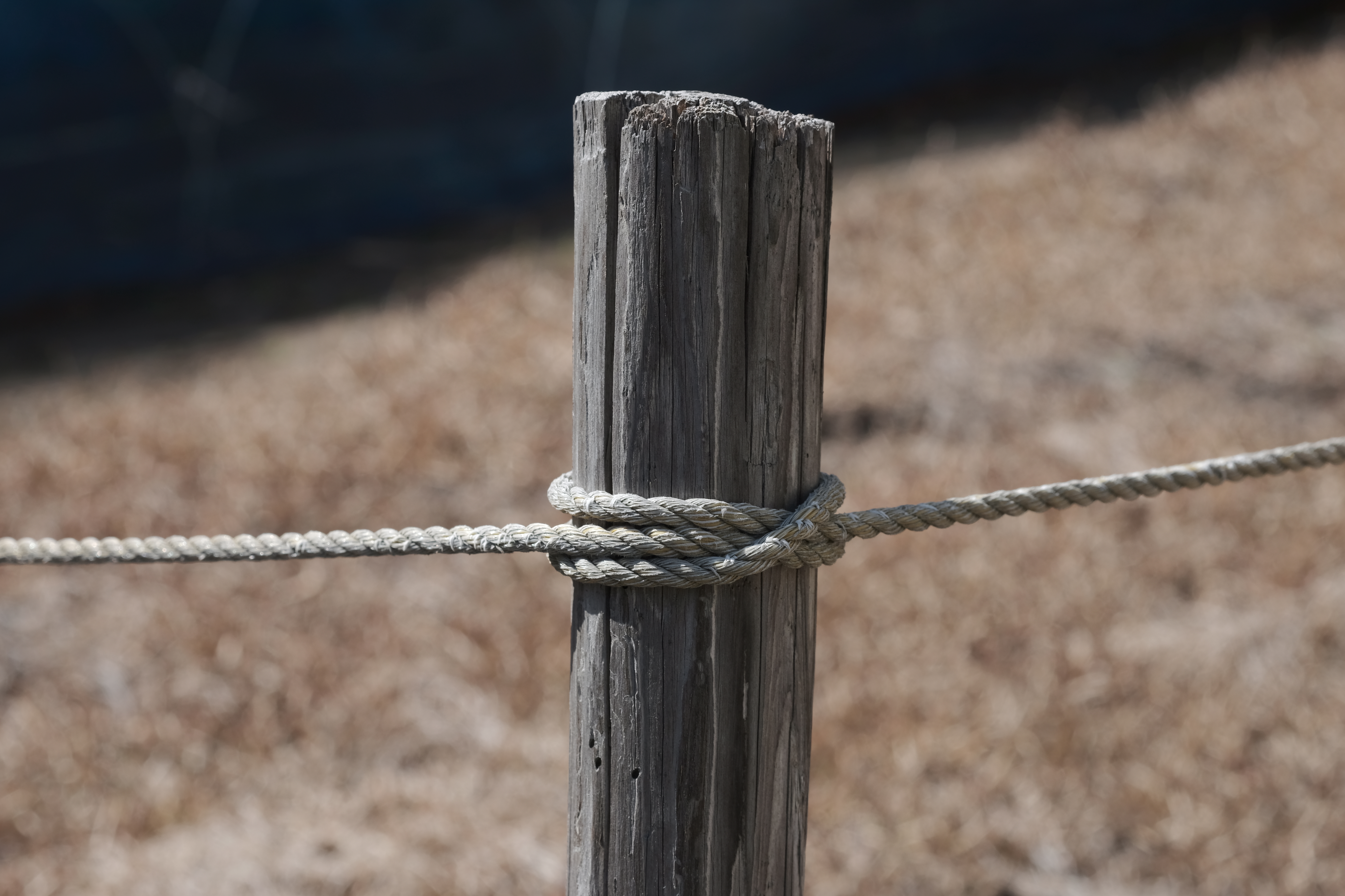 DSCF1206.JPG