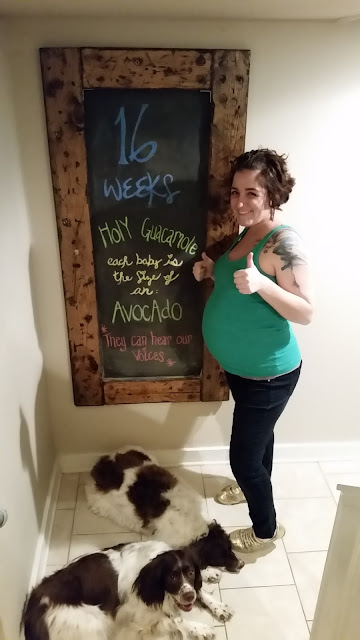 16 weeks, twins, boys, pregnant, PGD, IVF, pregnancy, happy st pattys day, st. patty's day,english springer spaniel, li fraumeni, lfs, breast cancer survivor