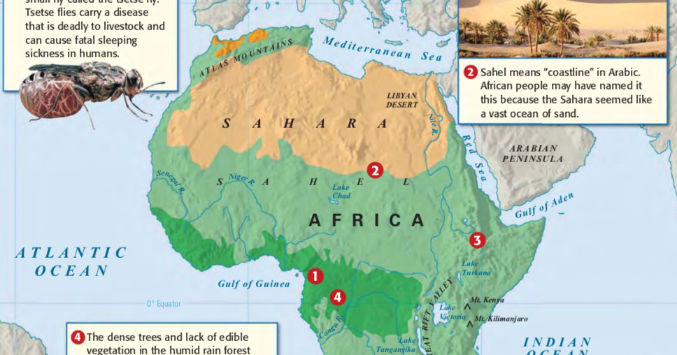 Mr. Shi's Global 9 TransSahara GoldSalt Trade