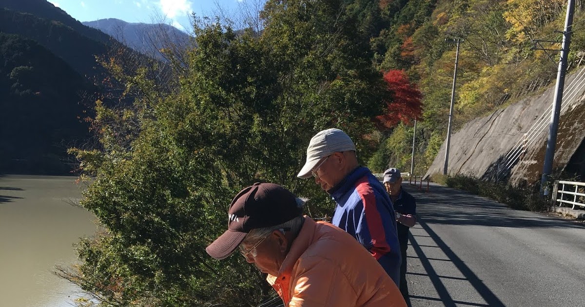 橋上からスタートした名栗湖のワカサギ釣り ボート釣りは12月１日開始 名栗川の釣り 里川のテンカラ釣り Tenkaratrain