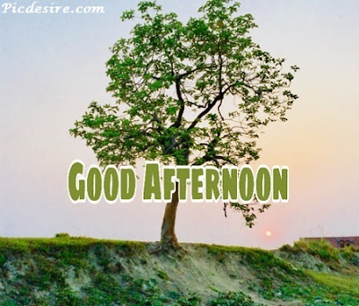 Best 50 Good Afternoon Images 2020 || Good Afternoon Images for Whatsapp Best 50 Good Afternoon Images 2020 || Good Afternoon Images for Whatsapp