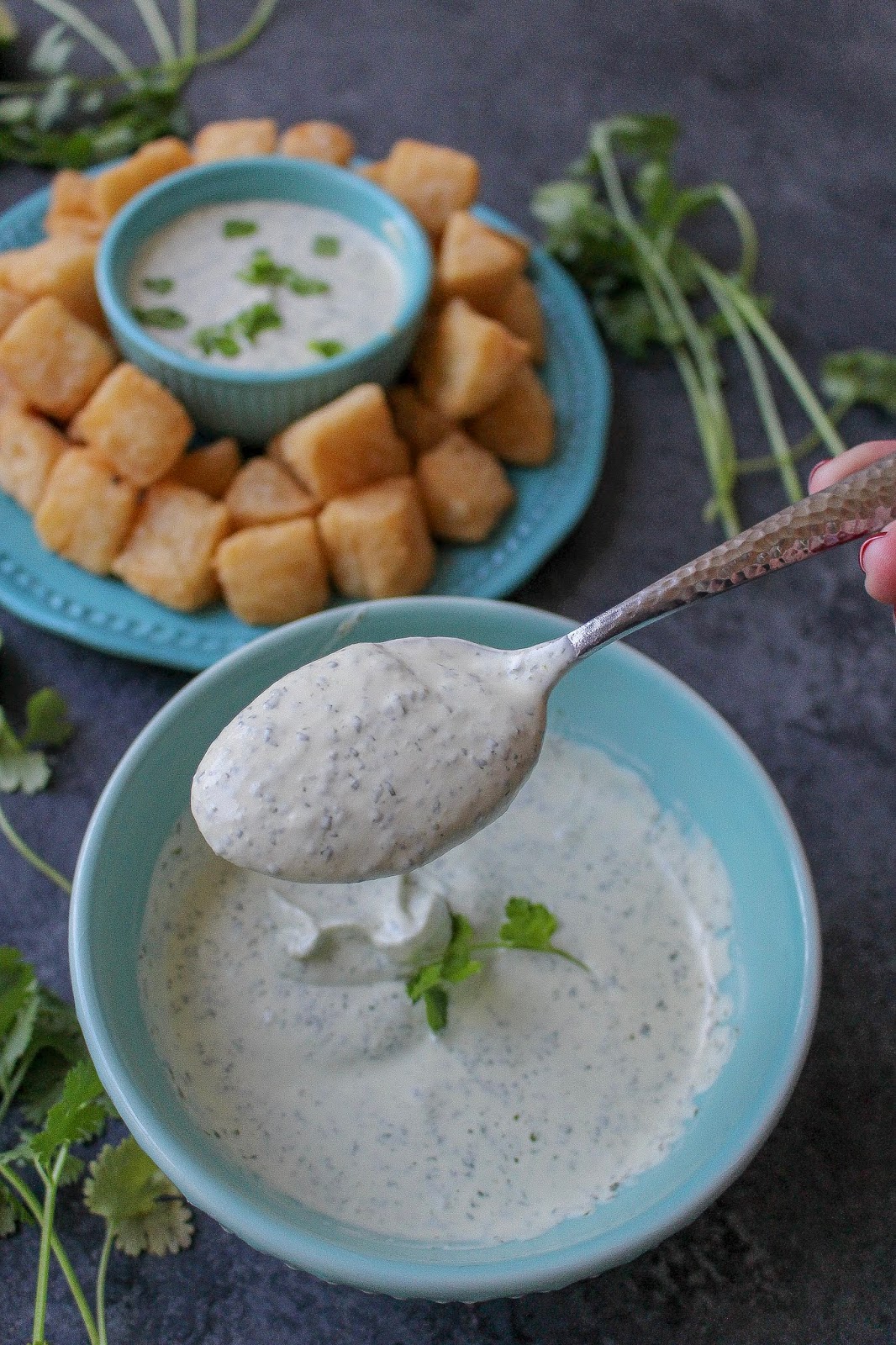 Cilantro Garlic Lime Sauce Recipe Fatgirl Hedonist