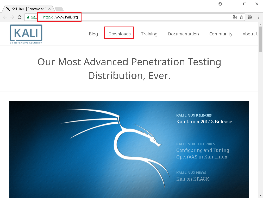 Kali linux 2021. Kali linux e17. Кали линукс iso. Кали линукс iso. Терминал кали линукс.
