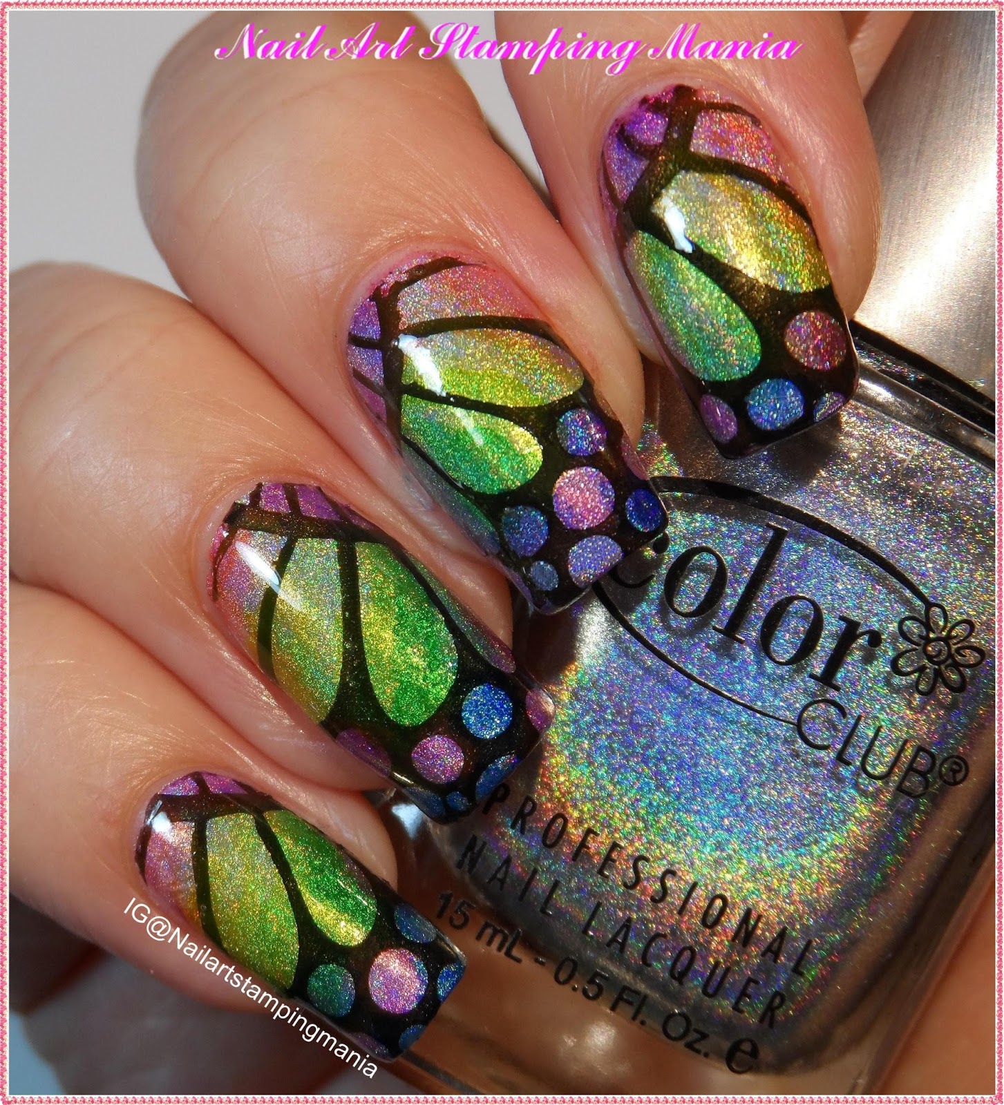 Nail Art Stamping Mania Holographic Butterfly Manicure with Permanent