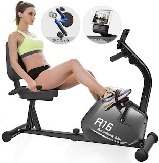 Snode R16 Magnetic Recumbent Exercise Bike, image, review features & specifications