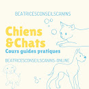 BEATRICESCONSEILSCANINS - ONLINE