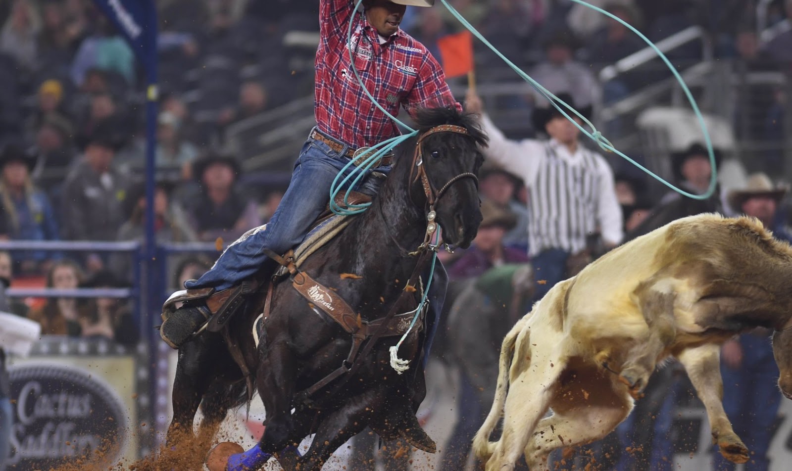 MAURO PENZA REINING NEWS 2020, METTI IL RODEO IN SCENA A NEW YORK CITY....