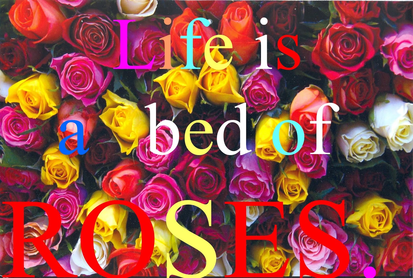 Information a bed of roses