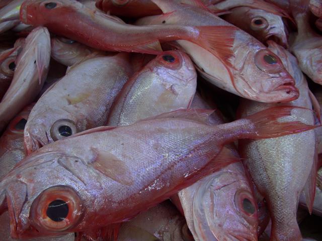 Nizam Aku Ijam Ramadhan Kuih Raya &amp; Ikan Uji Rashid