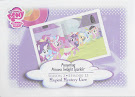 My Little Pony Princess Twilight Sparkle Series 3 Trading Card