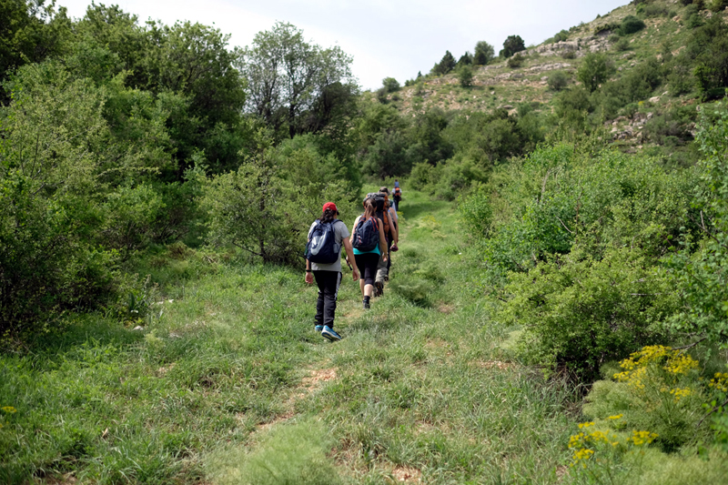 12 Trends to Know to Safely Travel Again 12 Trends to Know to Safely Travel Again