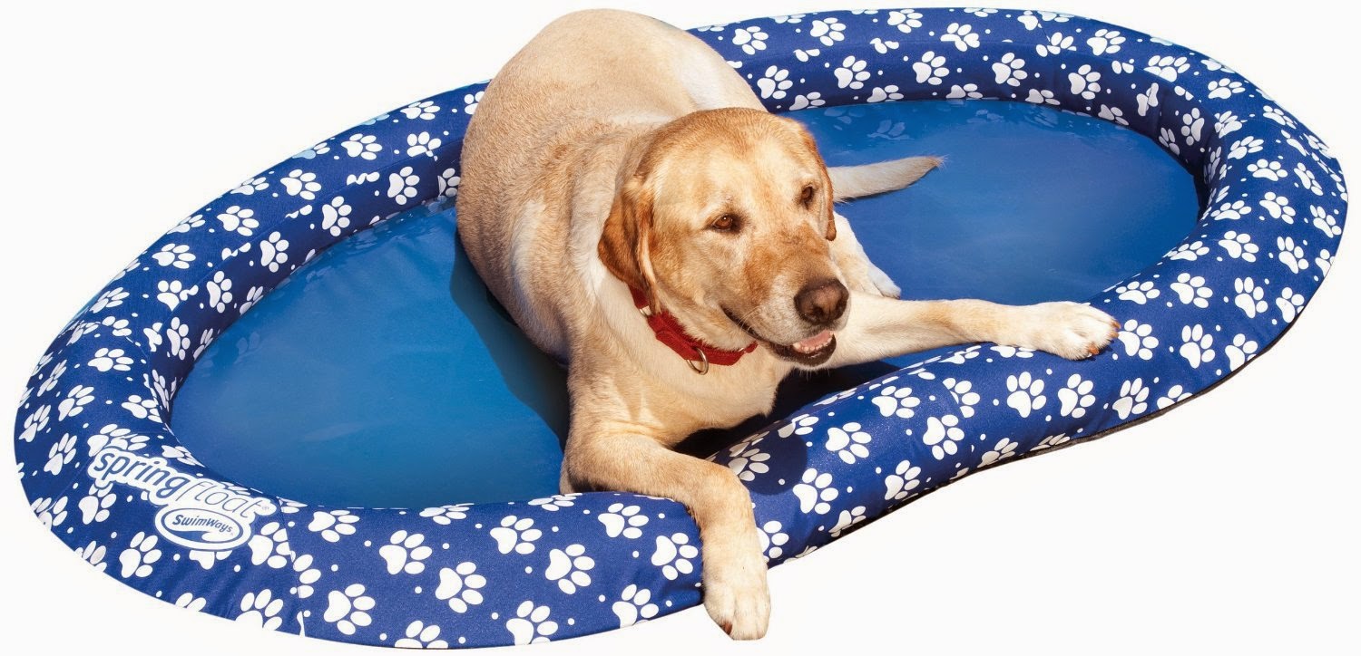 dog pool: dog pool floats