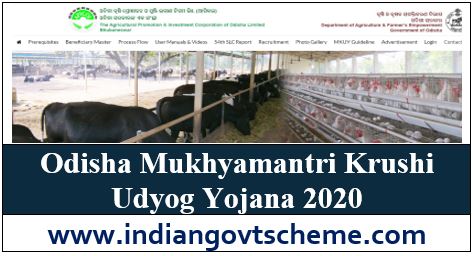 Odisha Mukhyamantri Krushi Udyog Yojana