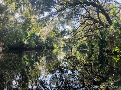 Hillsborough River