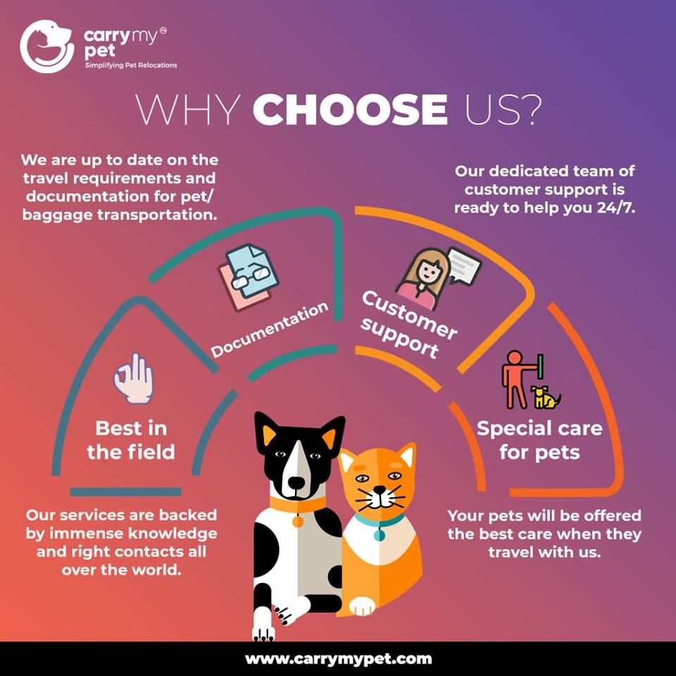 best pet shipping service