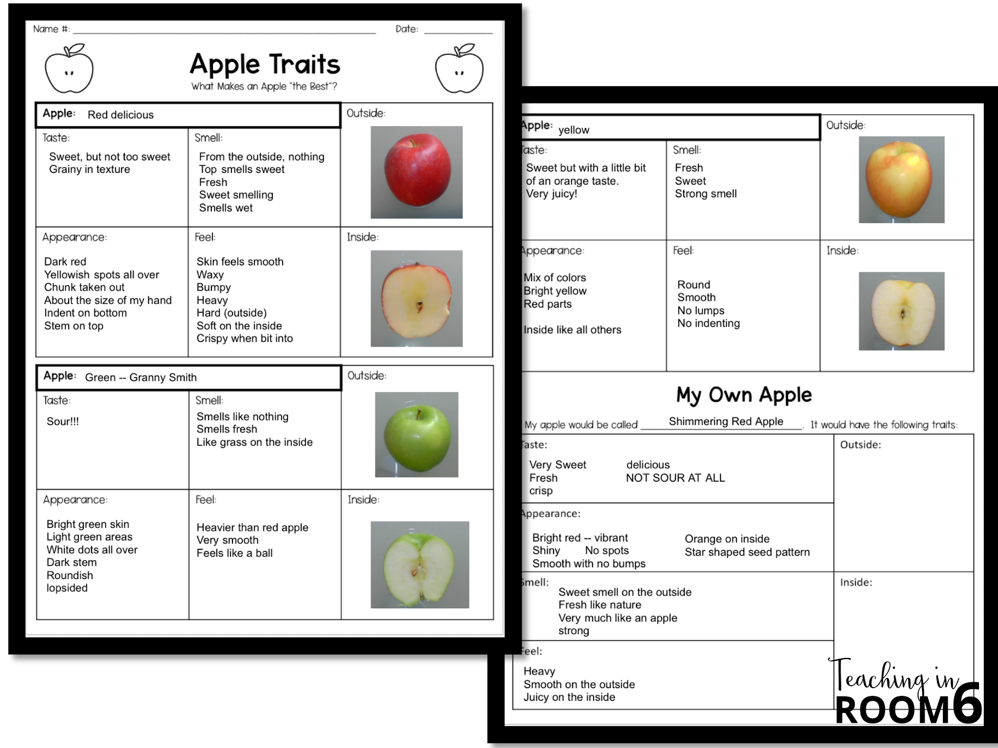 Johnny Appleseed A Science Twist in 3rd Grade Teaching in Room 6