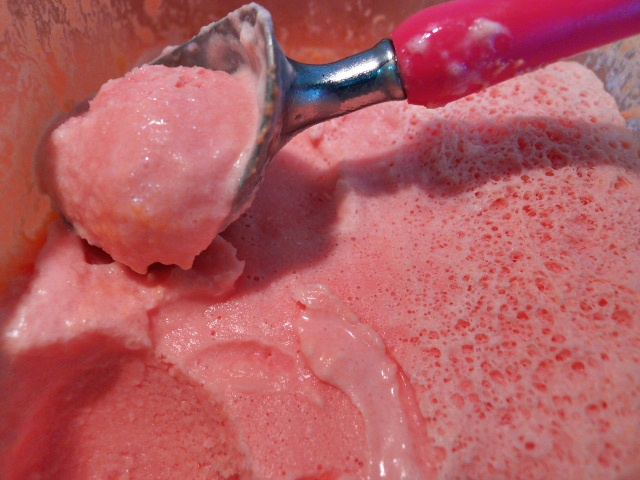  HELADO DE SANDIA Y PETIT NATURAL / TRADISSIMO 