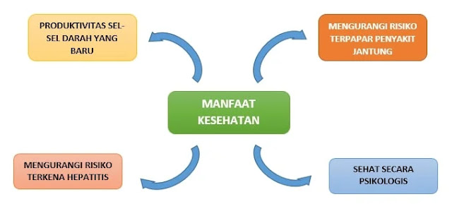 4 Manfaat Dari Donor Darah Terhadap Kesehat 4 Manfaat Dari Donor Darah Terhadap Kesehat