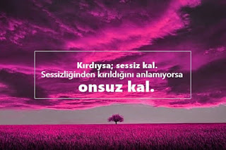 Resim