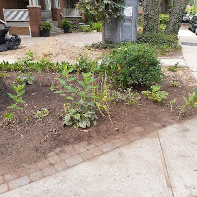 Toronto High Park Summer Garden Cleanup After by Paul Jung Gardening Services--a Toronto Organic Gardener