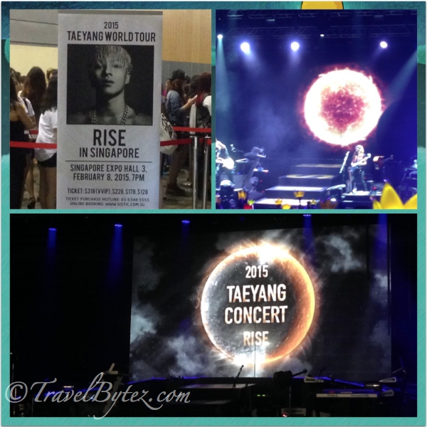 Taeyang’s Rise Concert
