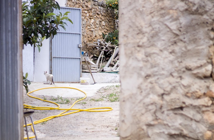 lejos ciudad zaragoza tranquera nuévalos