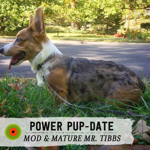 Power Poppy - The Blog: Nothin' But Good Vibes!