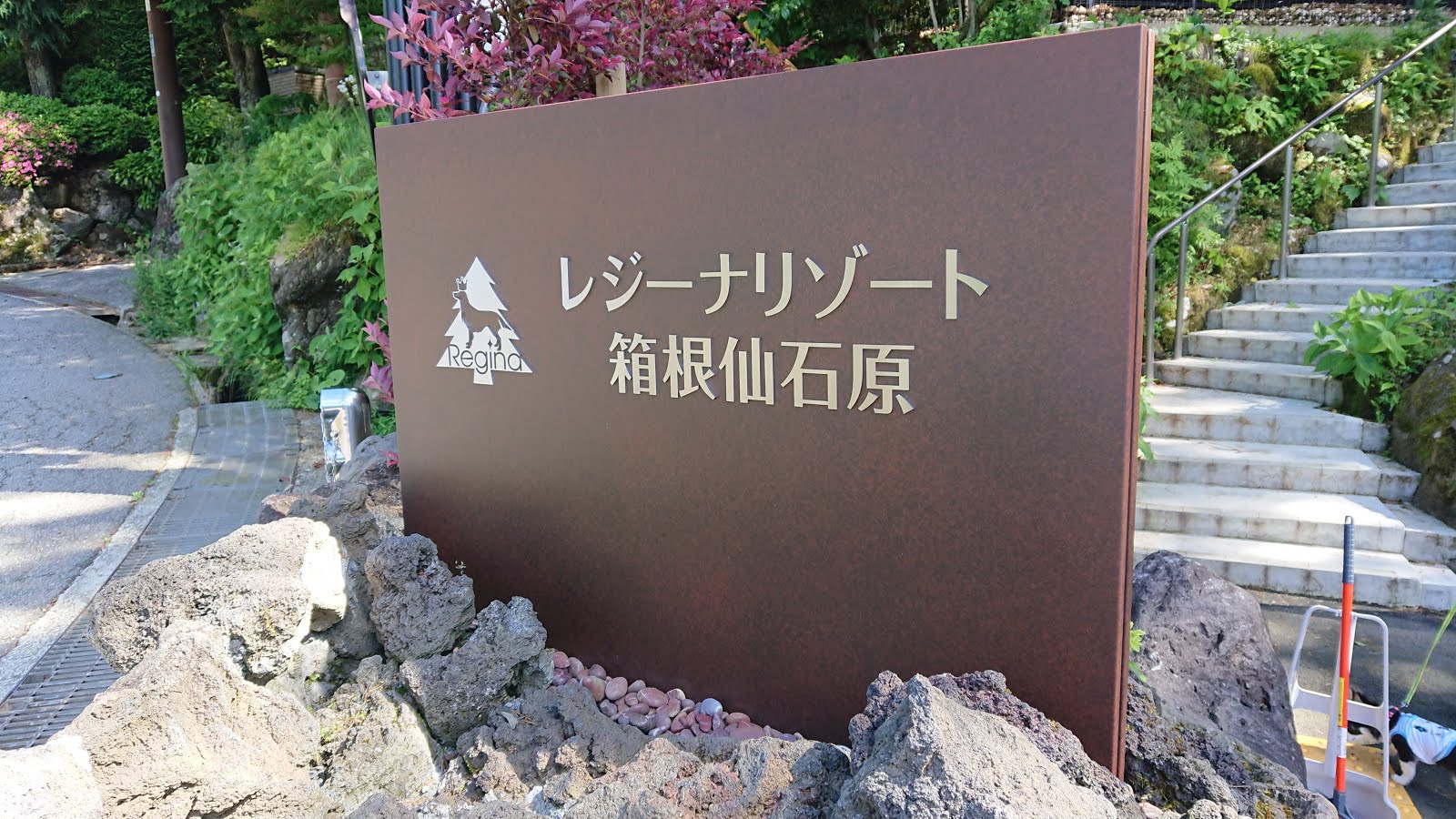 ペットと泊まれる宿 レジーナリゾート箱根仙石原 宿泊記ブログ 箱根観光にも最適 飛行機搭乗記と趣味のブログ My Travel Journal And Hobby