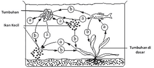 Soal Jawaban Ujian Sekolah Ipa Sma Smk Tahun 2021 Paket B Sinau Thewe Com