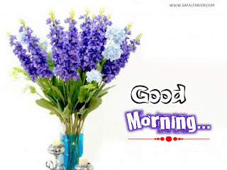 best flower good morning images