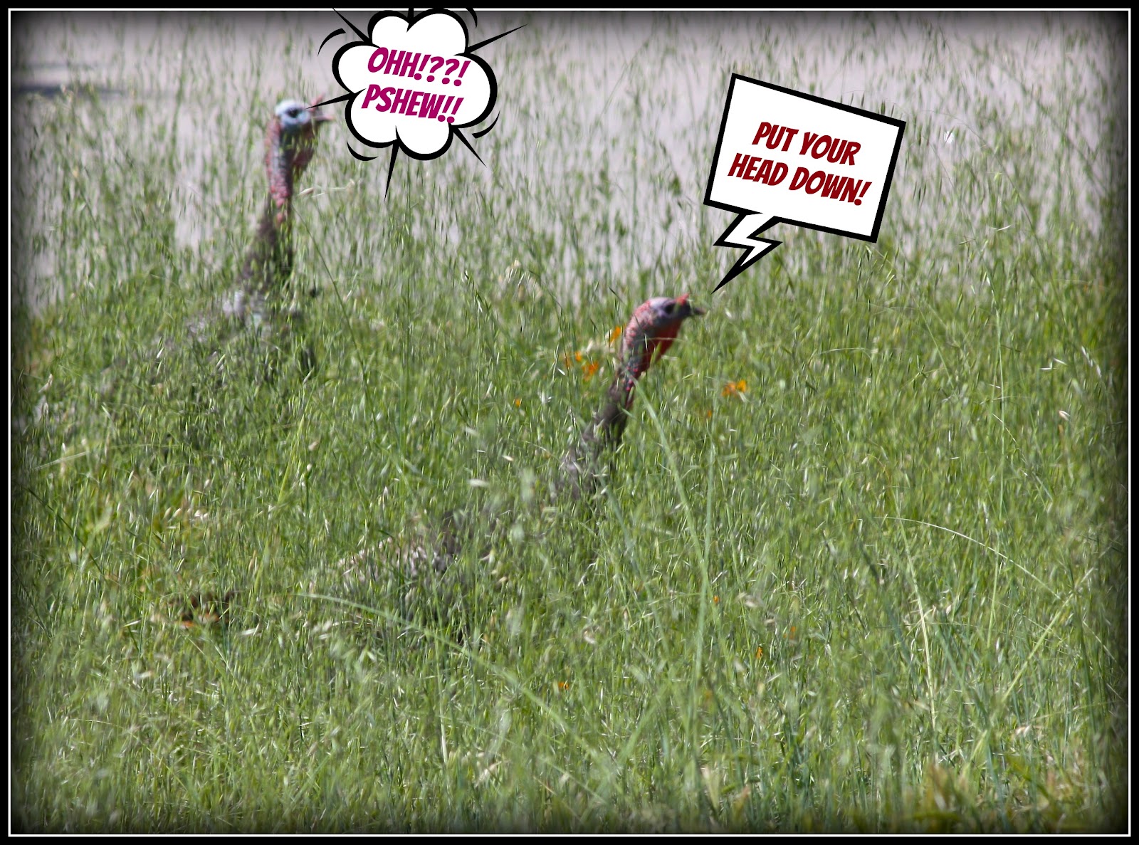 Silver Linings 4 ME FRIDAY FUNNIES!!!