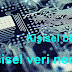 Kişisel Veri Örnekleri