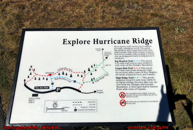 Explore Hurricane Ridge