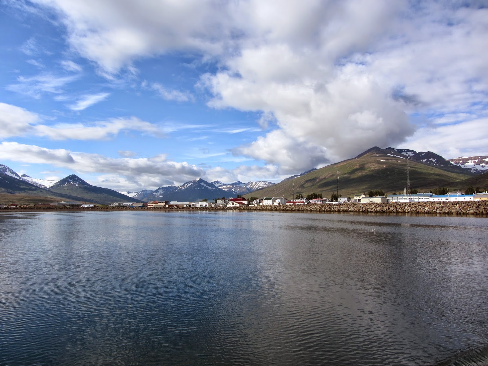 Observar BALEIAS EM DARVIK (um dos melhores locais da Islândia) | Islândia