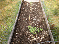 I have no idea what I m doing : I Hate Earwigs