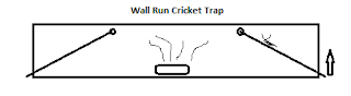 Gourmet Bugs: Cricket Trap
