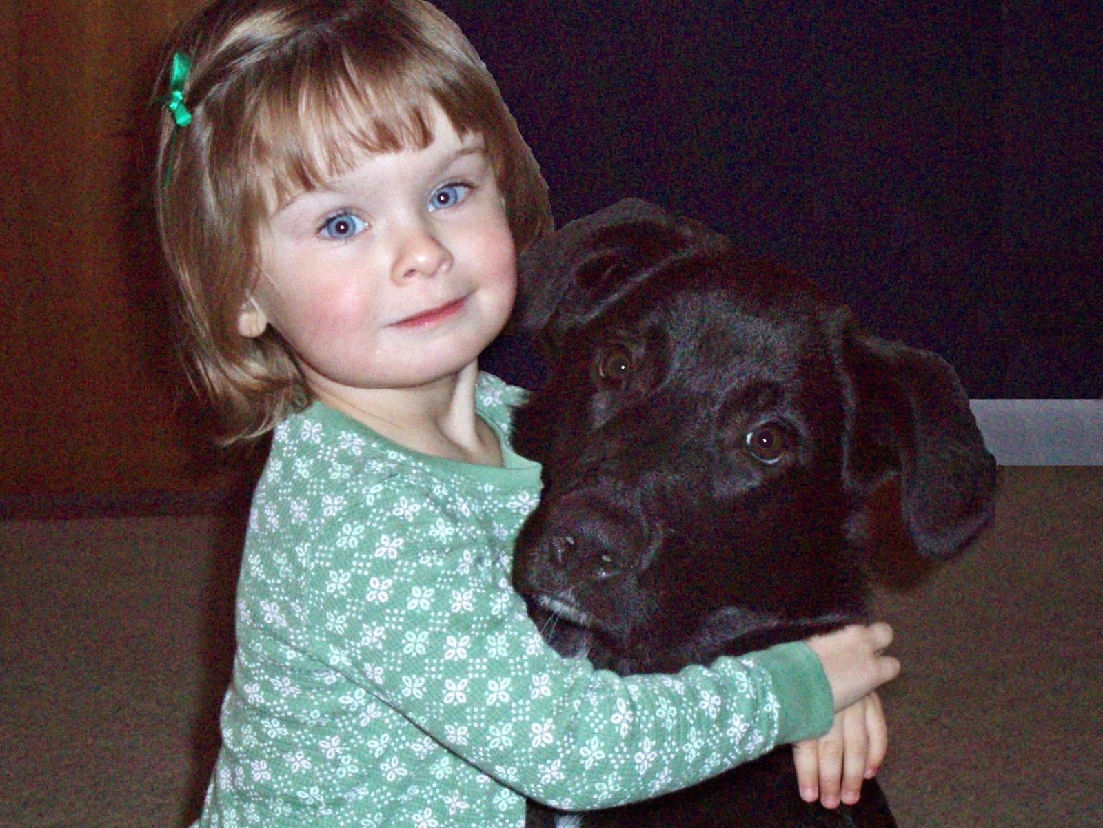 TravelTot PetFriendly Family Getaways!