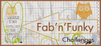 Fab'N'Funky Challenge